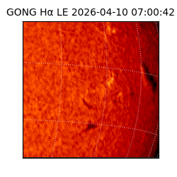 gong - 2026-04-10T07:00:42