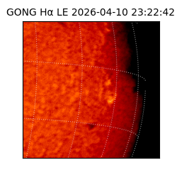 gong - 2026-04-10T23:22:42