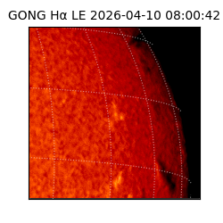 gong - 2026-04-10T08:00:42