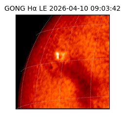 gong - 2026-04-10T09:03:42