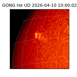 gong - 2026-04-10T10:00:02