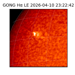 gong - 2026-04-10T23:22:42