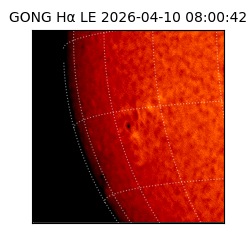 gong - 2026-04-10T08:00:42