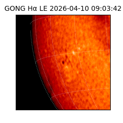 gong - 2026-04-10T09:03:42