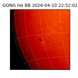 gong - 2026-04-10T22:52:02