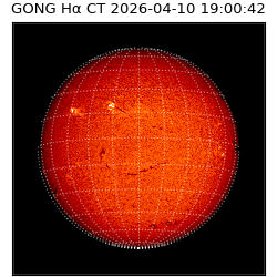 gong - 2026-04-10T19:00:42