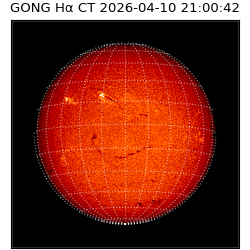 gong - 2026-04-10T21:00:42