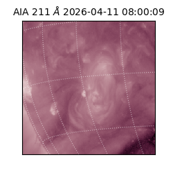 saia - 2026-04-11T08:00:09.631000