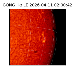 gong - 2026-04-11T02:00:42