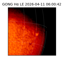 gong - 2026-04-11T06:00:42