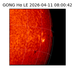 gong - 2026-04-11T08:00:42