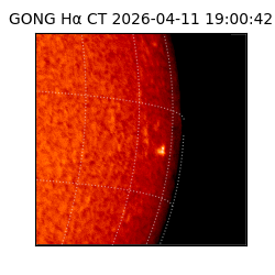 gong - 2026-04-11T19:00:42