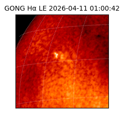 gong - 2026-04-11T01:00:42