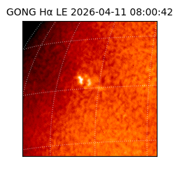 gong - 2026-04-11T08:00:42