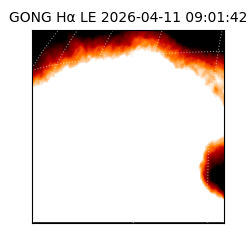 gong - 2026-04-11T09:01:42