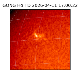 gong - 2026-04-11T17:00:22