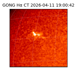 gong - 2026-04-11T19:00:42