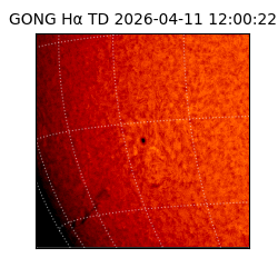 gong - 2026-04-11T12:00:22