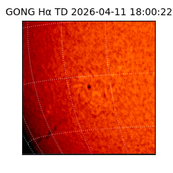 gong - 2026-04-11T18:00:22