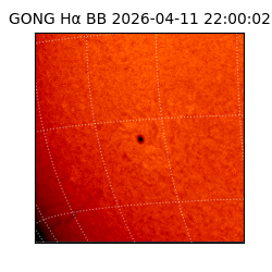 gong - 2026-04-11T22:00:02
