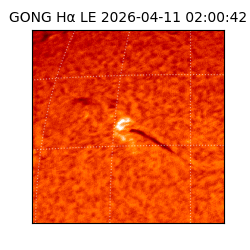 gong - 2026-04-11T02:00:42