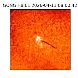 gong - 2026-04-11T08:00:42