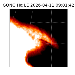 gong - 2026-04-11T09:01:42