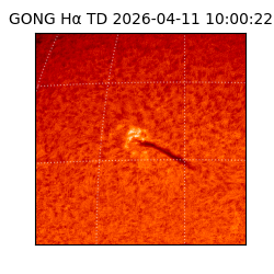 gong - 2026-04-11T10:00:22