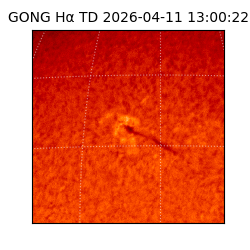 gong - 2026-04-11T13:00:22