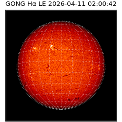 gong - 2026-04-11T02:00:42