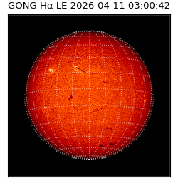 gong - 2026-04-11T03:00:42