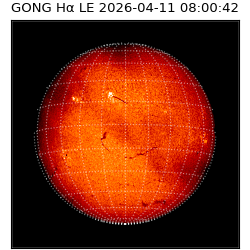 gong - 2026-04-11T08:00:42