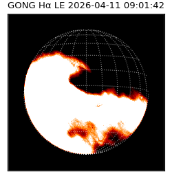 gong - 2026-04-11T09:01:42