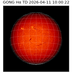 gong - 2026-04-11T10:00:22