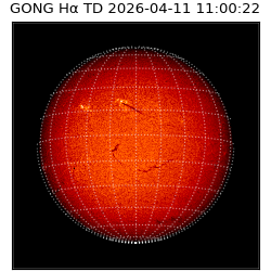gong - 2026-04-11T11:00:22