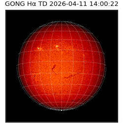 gong - 2026-04-11T14:00:22