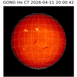 gong - 2026-04-11T20:00:42