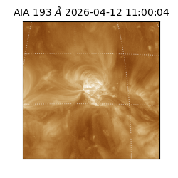 saia - 2026-04-12T11:00:04.842000