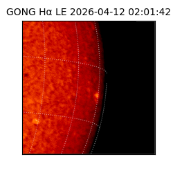 gong - 2026-04-12T02:01:42