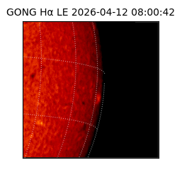 gong - 2026-04-12T08:00:42