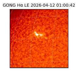 gong - 2026-04-12T01:00:42