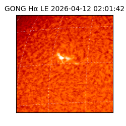 gong - 2026-04-12T02:01:42