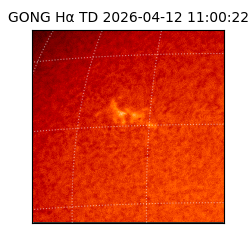 gong - 2026-04-12T11:00:22