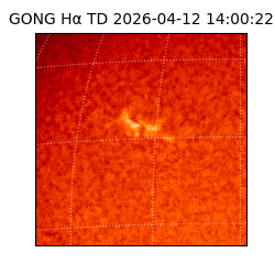 gong - 2026-04-12T14:00:22