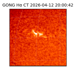 gong - 2026-04-12T20:00:42