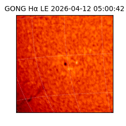 gong - 2026-04-12T05:00:42