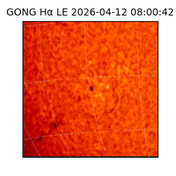 gong - 2026-04-12T08:00:42