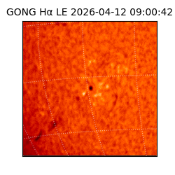 gong - 2026-04-12T09:00:42