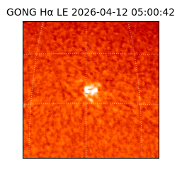 gong - 2026-04-12T05:00:42