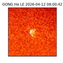 gong - 2026-04-12T08:00:42